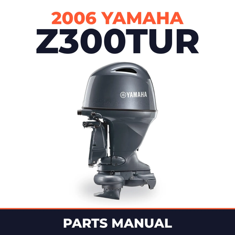 2006 Yamaha Z300TUR Parts Manual
