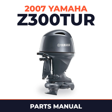 2007 Yamaha Z300TUR Parts Manual