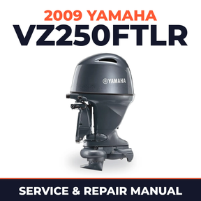2009 Yamaha VZ250FTLR Service and Repair Manual